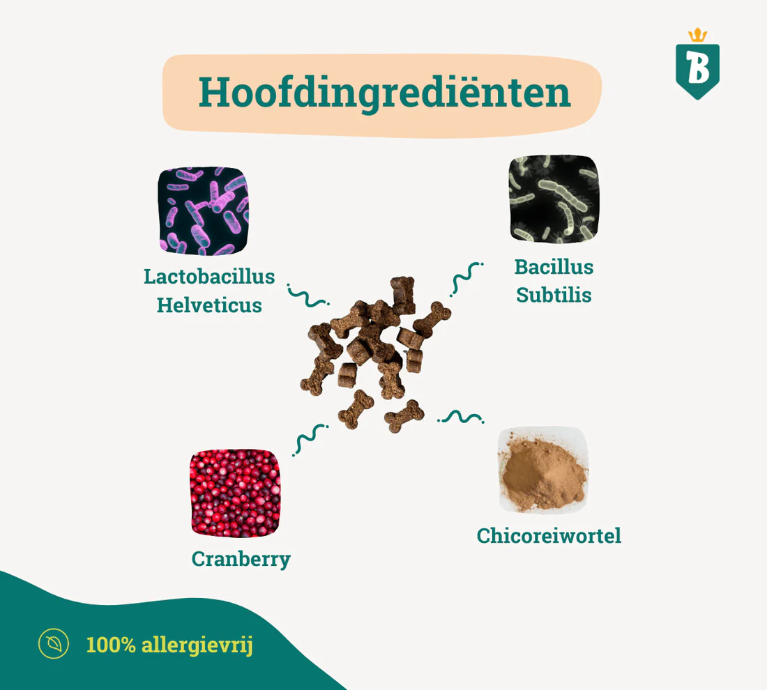 Bobiotics Probiotica+ Maag & Darm - Afbeelding 5
