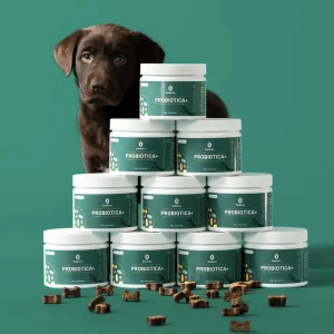 Bobiotics Probiotica+ Maag & Darm